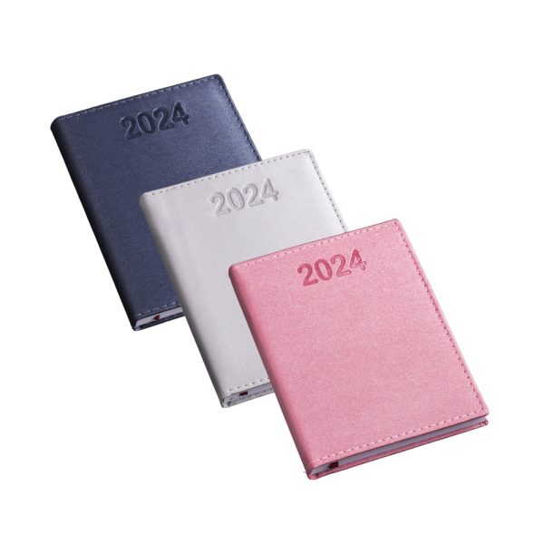 12323 | Agenda Diária 2024