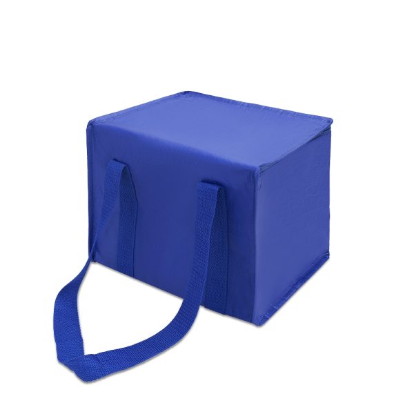 O@02697 | Bolsa Térmica 12 Litros - Image 9